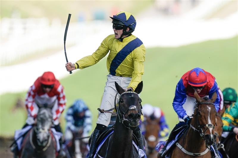 CHELTENHAM, ENGLAND - MARCH 14: Michael O'Sullivan riding Marine Nationale (yellow) clear the last to win The Sky Bet Supreme Novices' Hurdle during day one of the Cheltenham Festival 2023 at Cheltenham Racecourse on March 14, 2023 in Cheltenham, England. (Photo by Alan Crowhurst/Getty Images)