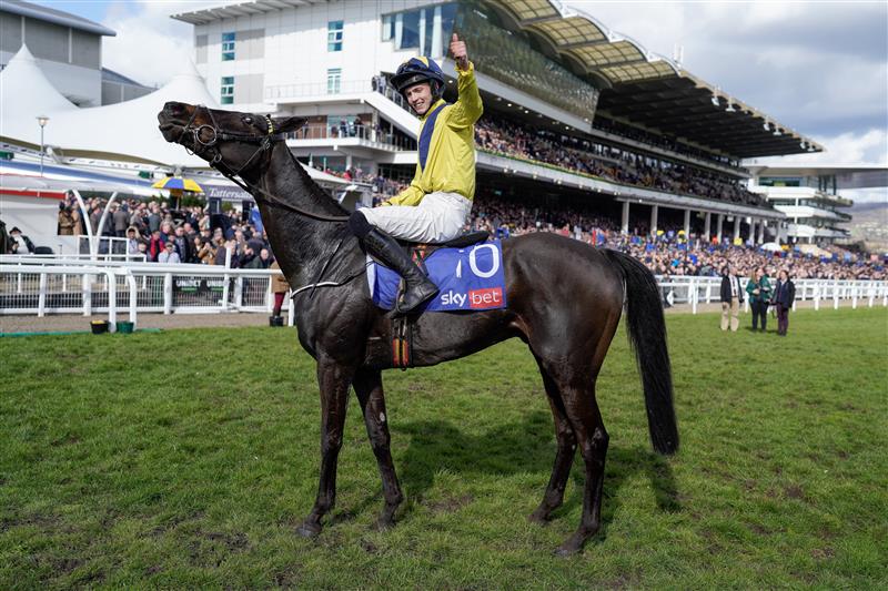 CHELTENHAM, ENGLAND - MARCH 14: Michael O'Sullivan riding Marine Nationale after winning The Sky Bet Supreme Novices' Hurdle during day one of the Cheltenham Festival 2023 at Cheltenham Racecourse on March 14, 2023 in Cheltenham, England. (Photo by Alan Crowhurst/Getty Images)