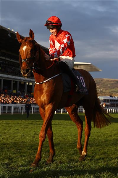 CHELTENHAM, ENGLAND - MARCH 14: Michael O'Sullivan celebrates on board Jazzy Matty after winning the Boodles Juvenile Handicap Hurdle during day one of the Cheltenham Festival 2023 at Cheltenham Racecourse on March 14, 2023 in Cheltenham, England. (Photo by Michael Steele/Getty Images)