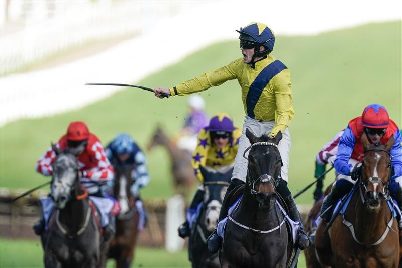 CHELTENHAM, ENGLAND - MARCH 14: Michael O'Sullivan riding Marine Nationale (yellow) clear the last to win The Sky Bet Supreme Novices' Hurdle during day one of the Cheltenham Festival 2023 at Cheltenham Racecourse on March 14, 2023 in Cheltenham, England. (Photo by Alan Crowhurst/Getty Images)
