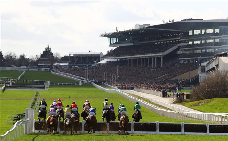 CHELTENHAM, ENGLAND - MARCH 14: Runners make their way around the course during the Sky Bet Supreme Novices Hurdle during day one of the Cheltenham Festival 2023 at Cheltenham Racecourse on March 14, 2023 in Cheltenham, England. (Photo by Michael Steele/Getty Images)