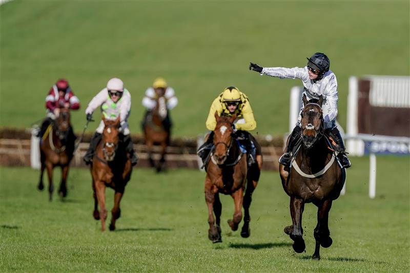 CHELTENHAM, ENGLAND - MARCH 14: Nico de Boinville riding Constitution Hill (white) win The Unibet Champion Hurdle Challenge Trophy during day one of the Cheltenham Festival 2023 at Cheltenham Racecourse on March 14, 2023 in Cheltenham, England. (Photo by Alan Crowhurst/Getty Images)