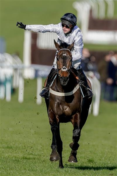CHELTENHAM, ENGLAND - MARCH 14: Nico de Boinville riding Constitution Hill (white) win The Unibet Champion Hurdle Challenge Trophy during day one of the Cheltenham Festival 2023 at Cheltenham Racecourse on March 14, 2023 in Cheltenham, England. (Photo by Alan Crowhurst/Getty Images)