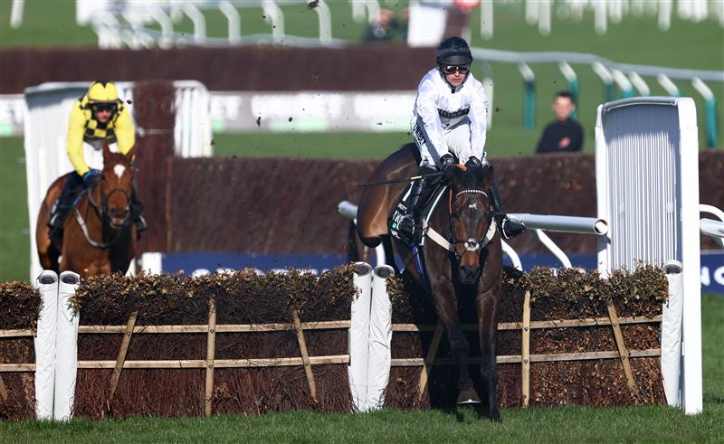 CHELTENHAM, ENGLAND - MARCH 14: Constitution Hill ridden by Nico de Boinville jumps the last on their way to winning the Unibet Champion Hurdle Challenge Trophy during day one of the Cheltenham Festival 2023 at Cheltenham Racecourse on March 14, 2023 in Cheltenham, England. (Photo by Michael Steele/Getty Images)