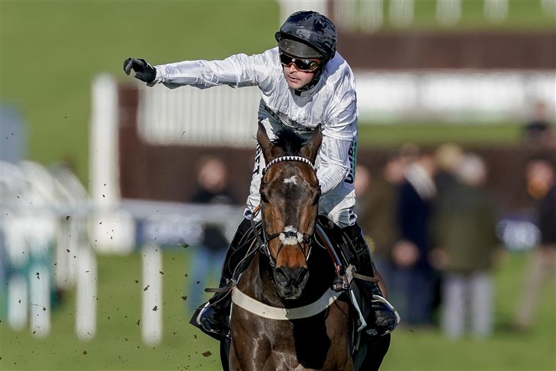 CHELTENHAM, ENGLAND - MARCH 14: Nico de Boinville riding Constitution Hill (white) win The Unibet Champion Hurdle Challenge Trophy during day one of the Cheltenham Festival 2023 at Cheltenham Racecourse on March 14, 2023 in Cheltenham, England. (Photo by Alan Crowhurst/Getty Images)