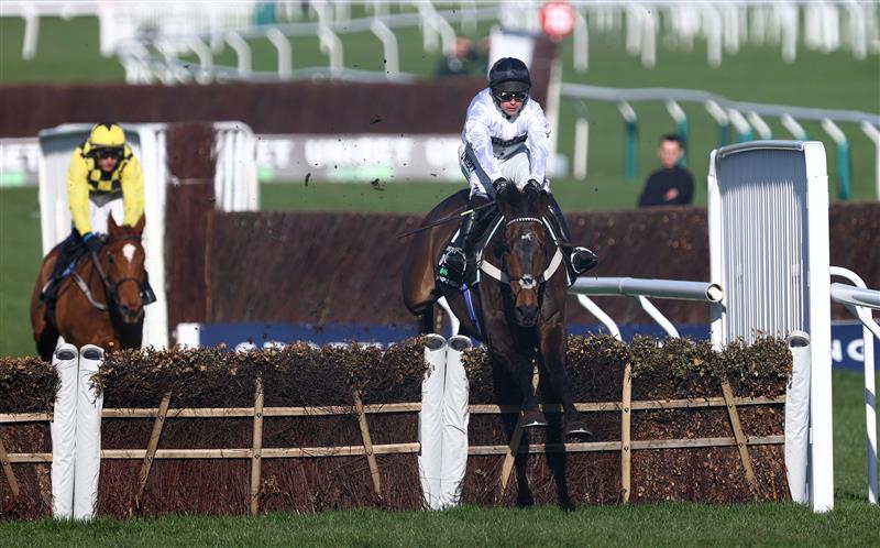 CHELTENHAM, ENGLAND - MARCH 14: Constitution Hill ridden by Nico de Boinville jumps the last on their way to winning the Unibet Champion Hurdle Challenge Trophy during day one of the Cheltenham Festival 2023 at Cheltenham Racecourse on March 14, 2023 in Cheltenham, England. (Photo by Michael Steele/Getty Images)