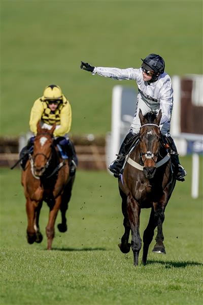 CHELTENHAM, ENGLAND - MARCH 14: Nico de Boinville riding Constitution Hill (white) win The Unibet Champion Hurdle Challenge Trophy during day one of the Cheltenham Festival 2023 at Cheltenham Racecourse on March 14, 2023 in Cheltenham, England. (Photo by Alan Crowhurst/Getty Images)
