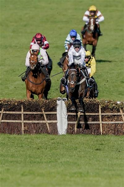 CHELTENHAM, ENGLAND - MARCH 14: Nico de Boinville riding Constitution Hill (white) win The Unibet Champion Hurdle Challenge Trophy during day one of the Cheltenham Festival 2023 at Cheltenham Racecourse on March 14, 2023 in Cheltenham, England. (Photo by Alan Crowhurst/Getty Images)