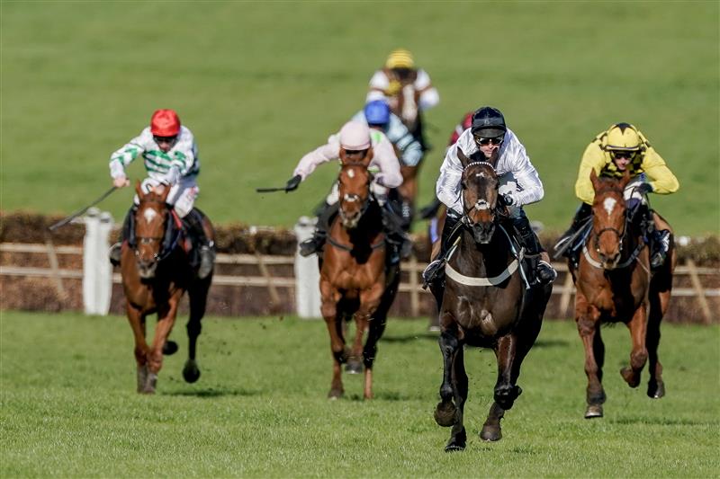 CHELTENHAM, ENGLAND - MARCH 14: Nico de Boinville riding Constitution Hill (white) win The Unibet Champion Hurdle Challenge Trophy during day one of the Cheltenham Festival 2023 at Cheltenham Racecourse on March 14, 2023 in Cheltenham, England. (Photo by Alan Crowhurst/Getty Images)