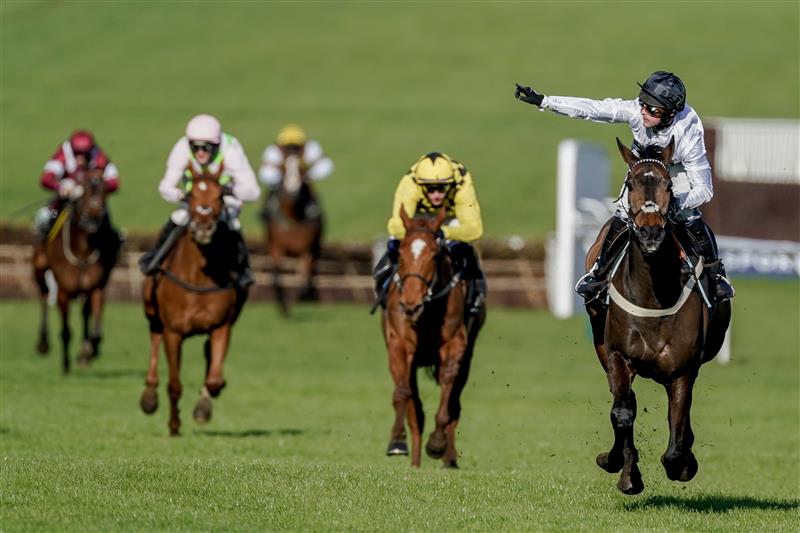 CHELTENHAM, ENGLAND - MARCH 14: Nico de Boinville riding Constitution Hill (white) win The Unibet Champion Hurdle Challenge Trophy during day one of the Cheltenham Festival 2023 at Cheltenham Racecourse on March 14, 2023 in Cheltenham, England. (Photo by Alan Crowhurst/Getty Images)