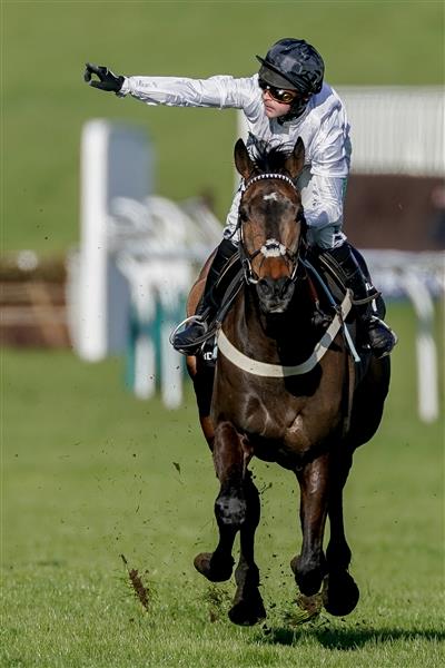 CHELTENHAM, ENGLAND - MARCH 14: Nico de Boinville riding Constitution Hill (white) win The Unibet Champion Hurdle Challenge Trophy during day one of the Cheltenham Festival 2023 at Cheltenham Racecourse on March 14, 2023 in Cheltenham, England. (Photo by Alan Crowhurst/Getty Images)