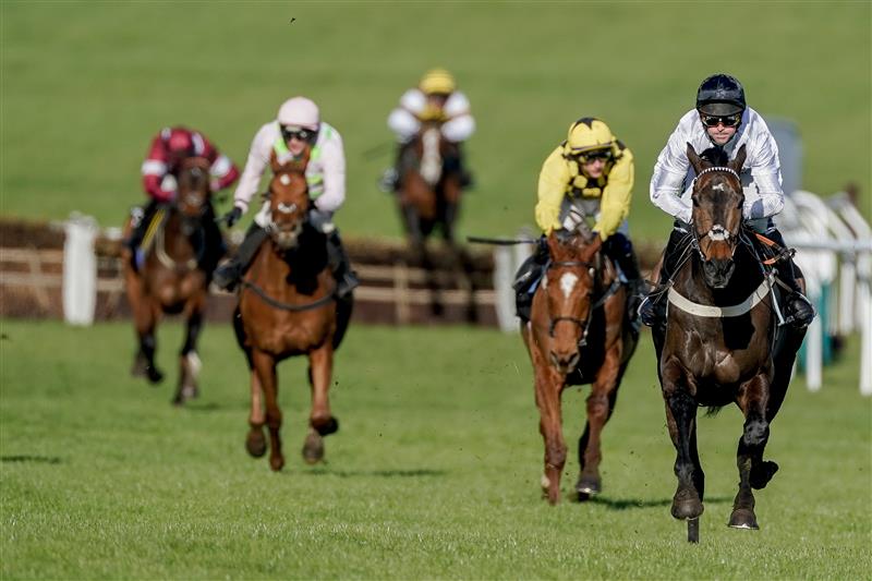 CHELTENHAM, ENGLAND - MARCH 14: Nico de Boinville riding Constitution Hill (white) win The Unibet Champion Hurdle Challenge Trophy during day one of the Cheltenham Festival 2023 at Cheltenham Racecourse on March 14, 2023 in Cheltenham, England. (Photo by Alan Crowhurst/Getty Images)