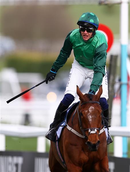 CHELTENHAM, ENGLAND - MARCH 14: Paul Townend celebrates on board El Fabiolo after winning the Sporting Life Arkle Challenge Trophy Novices' Chase during day one of the Cheltenham Festival 2023 at Cheltenham Racecourse on March 14, 2023 in Cheltenham, England. (Photo by Michael Steele/Getty Images)