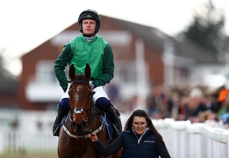 CHELTENHAM, ENGLAND - MARCH 14: Paul Townend celebrates on board El Fabiolo after winning the Sporting Life Arkle Challenge Trophy Novices' Chase during day one of the Cheltenham Festival 2023 at Cheltenham Racecourse on March 14, 2023 in Cheltenham, England. (Photo by Michael Steele/Getty Images)