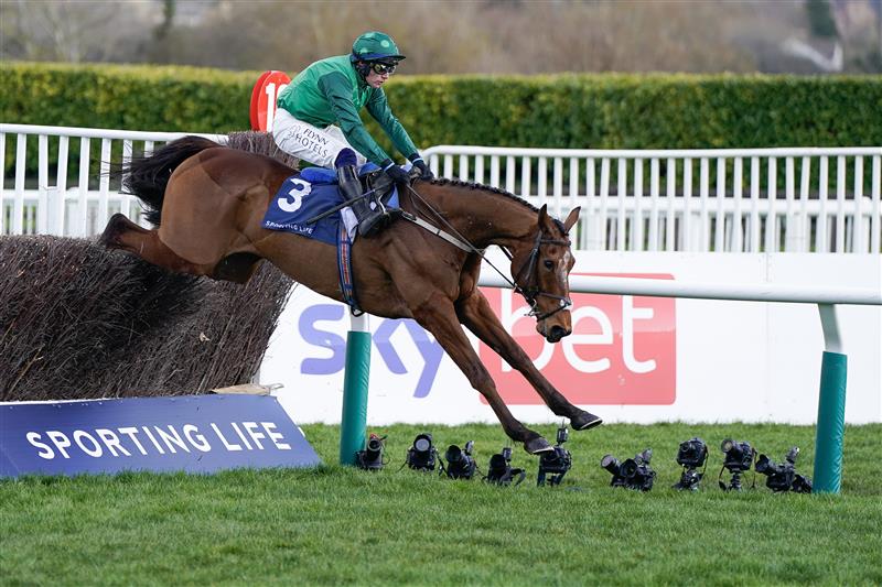 CHELTENHAM, ENGLAND - MARCH 14: Paul Townend riding El Fabiolo clear the last to win The Sporting Life Arkle Challenge Trophy Novices' Chase during day one of the Cheltenham Festival 2023 at Cheltenham Racecourse on March 14, 2023 in Cheltenham, England. (Photo by Alan Crowhurst/Getty Images)