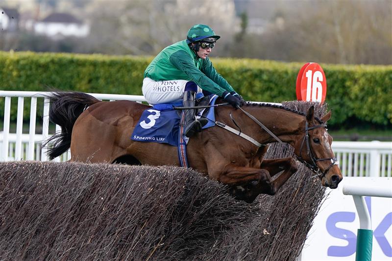 CHELTENHAM, ENGLAND - MARCH 14: Paul Townend riding El Fabiolo clear the last to win The Sporting Life Arkle Challenge Trophy Novices' Chase during day one of the Cheltenham Festival 2023 at Cheltenham Racecourse on March 14, 2023 in Cheltenham, England. (Photo by Alan Crowhurst/Getty Images)