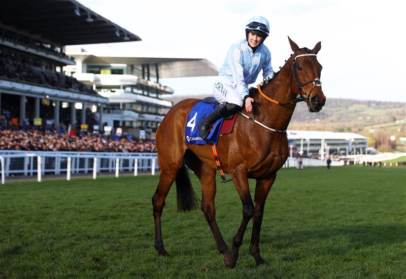 CHELTENHAM, ENGLAND - MARCH 14: Rachael Blackmore celebrates on board Honeysuckle after winning the Close Brothers Mares' Hurdle during day one of the Cheltenham Festival 2023 at Cheltenham Racecourse on March 14, 2023 in Cheltenham, England. (Photo by Michael Steele/Getty Images)