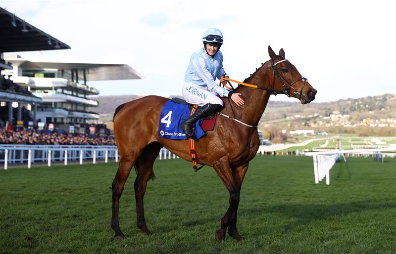 CHELTENHAM, ENGLAND - MARCH 14: Rachael Blackmore celebrates on board Honeysuckle after winning the Close Brothers Mares' Hurdle during day one of the Cheltenham Festival 2023 at Cheltenham Racecourse on March 14, 2023 in Cheltenham, England. (Photo by Michael Steele/Getty Images)