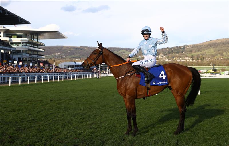 CHELTENHAM, ENGLAND - MARCH 14: Rachael Blackmore celebrates on board Honeysuckle after winning the Close Brothers Mares' Hurdle during day one of the Cheltenham Festival 2023 at Cheltenham Racecourse on March 14, 2023 in Cheltenham, England. (Photo by Michael Steele/Getty Images)