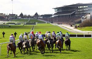 CHELTENHAM, ENGLAND - MARCH 14: Runners make their way around the course during the Sky Bet Supreme Novices Hurdle during day one of the Cheltenham Festival 2023 at Cheltenham Racecourse on March 14, 2023 in Cheltenham, England. (Photo by Michael Steele/Getty Images)