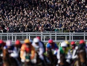 CHELTENHAM, ENGLAND - MARCH 14: Racegoers keep an eye on the action during The Ultima Handicap Chase during day one of the Cheltenham Festival 2023 at Cheltenham Racecourse on March 14, 2023 in Cheltenham, England. (Photo by Alan Crowhurst/Getty Images)