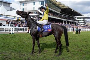 CHELTENHAM, ENGLAND - MARCH 14: Michael O'Sullivan riding Marine Nationale after winning The Sky Bet Supreme Novices' Hurdle during day one of the Cheltenham Festival 2023 at Cheltenham Racecourse on March 14, 2023 in Cheltenham, England. (Photo by Alan Crowhurst/Getty Images)