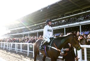 CHELTENHAM, ENGLAND - MARCH 14: Nico de Boinville celebrates on board Constitution Hill after winning the the Unibet Champion Hurdle Challenge Trophy during day one of the Cheltenham Festival 2023 at Cheltenham Racecourse on March 14, 2023 in Cheltenham, England. (Photo by Michael Steele/Getty Images)