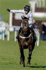 CHELTENHAM, ENGLAND - MARCH 14: Nico de Boinville riding Constitution Hill (white) win The Unibet Champion Hurdle Challenge Trophy during day one of the Cheltenham Festival 2023 at Cheltenham Racecourse on March 14, 2023 in Cheltenham, England. (Photo by Alan Crowhurst/Getty Images)
