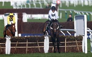 CHELTENHAM, ENGLAND - MARCH 14: Constitution Hill ridden by Nico de Boinville jumps the last on their way to winning the Unibet Champion Hurdle Challenge Trophy during day one of the Cheltenham Festival 2023 at Cheltenham Racecourse on March 14, 2023 in Cheltenham, England. (Photo by Michael Steele/Getty Images)