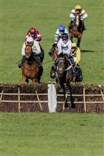 CHELTENHAM, ENGLAND - MARCH 14: Nico de Boinville riding Constitution Hill (white) win The Unibet Champion Hurdle Challenge Trophy during day one of the Cheltenham Festival 2023 at Cheltenham Racecourse on March 14, 2023 in Cheltenham, England. (Photo by Alan Crowhurst/Getty Images)