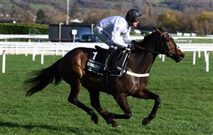 CHELTENHAM, ENGLAND - MARCH 14: Nico de Boinville celebrates on board Constitution Hill after winning the the Unibet Champion Hurdle Challenge Trophy during day one of the Cheltenham Festival 2023 at Cheltenham Racecourse on March 14, 2023 in Cheltenham, England. (Photo by Michael Steele/Getty Images)