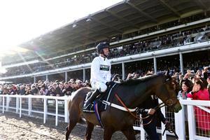 CHELTENHAM, ENGLAND - MARCH 14: Nico de Boinville celebrates on board Constitution Hill after winning the the Unibet Champion Hurdle Challenge Trophy during day one of the Cheltenham Festival 2023 at Cheltenham Racecourse on March 14, 2023 in Cheltenham, England. (Photo by Michael Steele/Getty Images)