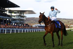 CHELTENHAM, ENGLAND - MARCH 14: Rachael Blackmore celebrates on board Honeysuckle after winning the Close Brothers Mares' Hurdle during day one of the Cheltenham Festival 2023 at Cheltenham Racecourse on March 14, 2023 in Cheltenham, England. (Photo by Michael Steele/Getty Images)