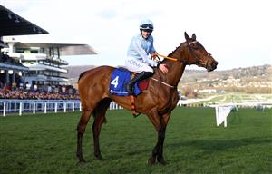 CHELTENHAM, ENGLAND - MARCH 14: Rachael Blackmore celebrates on board Honeysuckle after winning the Close Brothers Mares' Hurdle during day one of the Cheltenham Festival 2023 at Cheltenham Racecourse on March 14, 2023 in Cheltenham, England. (Photo by Michael Steele/Getty Images)