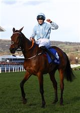 CHELTENHAM, ENGLAND - MARCH 14: Rachael Blackmore celebrates on board Honeysuckle after winning the Close Brothers Mares' Hurdle during day one of the Cheltenham Festival 2023 at Cheltenham Racecourse on March 14, 2023 in Cheltenham, England. (Photo by Michael Steele/Getty Images)