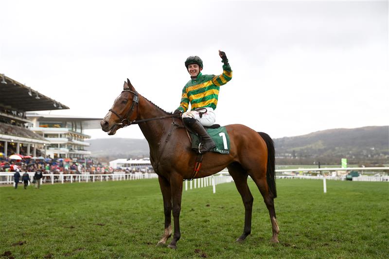 CHELTENHAM, ENGLAND - MARCH 15: John Gleeson riding A Dream to Share celebrates winning the Champion Bumper during day two of the Cheltenham Festival 2023 at Cheltenham Racecourse on March 15, 2023 in Cheltenham, England. (Photo by Michael Steele/Getty Images)