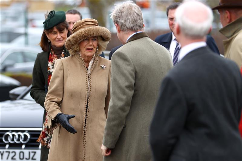CHELTENHAM, ENGLAND - MARCH 15: Camilla, Queen Consort arrives at day two of the Cheltenham Festival 2023 at Cheltenham Racecourse on March 15, 2023 in Cheltenham, England. (Photo by Michael Steele/Getty Images)