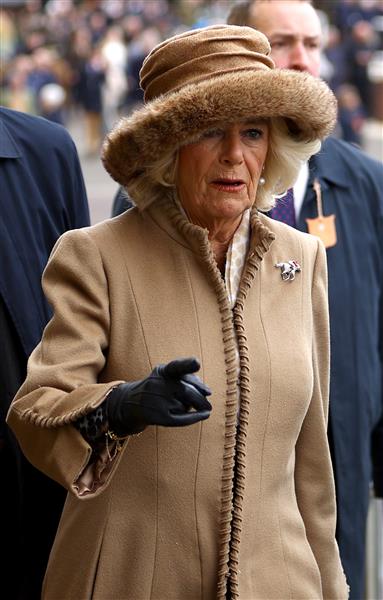 CHELTENHAM, ENGLAND - MARCH 15: Camilla, Queen Consort arrives at day two of the Cheltenham Festival 2023 at Cheltenham Racecourse on March 15, 2023 in Cheltenham, England. (Photo by Michael Steele/Getty Images)