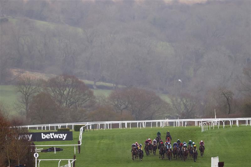 CHELTENHAM, ENGLAND - MARCH 15: Runners and riders during the Coral Cup Hurdle during day two of the Cheltenham Festival 2023 at Cheltenham Racecourse on March 15, 2023 in Cheltenham, England. (Photo by Michael Steele/Getty Images)