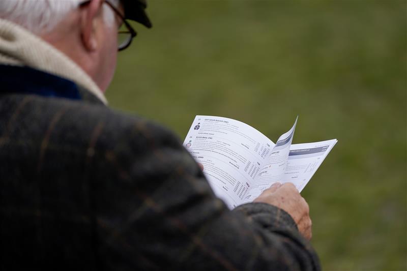 CHELTENHAM, ENGLAND - MARCH 15: Checking out the Timeform racecard during day two of the Cheltenham Festival 2023 at Cheltenham Racecourse on March 15, 2023 in Cheltenham, England. (Photo by Alan Crowhurst/Getty Images)