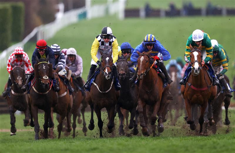 CHELTENHAM, ENGLAND - MARCH 15: Runners and riders during the Coral Cup Hurdle during day two of the Cheltenham Festival 2023 at Cheltenham Racecourse on March 15, 2023 in Cheltenham, England. (Photo by Michael Steele/Getty Images)