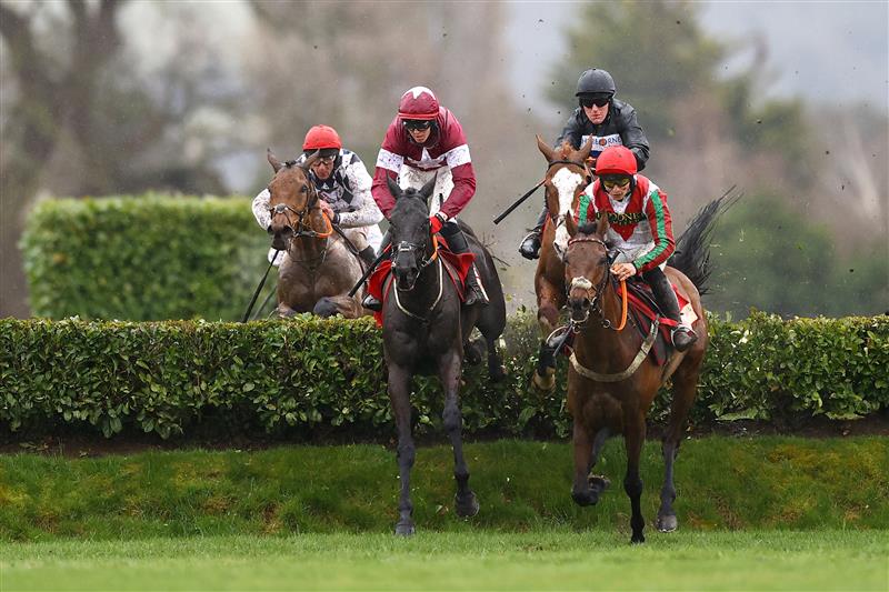CHELTENHAM, ENGLAND - MARCH 15: Keith Donoghue riding Delta Work competes in the Cross Country Chase during day two of the Cheltenham Festival 2023 at Cheltenham Racecourse on March 15, 2023 in Cheltenham, England. (Photo by Michael Steele/Getty Images)