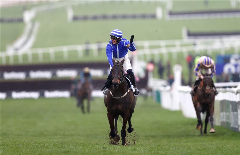 CHELTENHAM, ENGLAND - MARCH 15: Paul Townend riding Energumene celebrates victory in the Champion Chase during day two of the Cheltenham Festival 2023 at Cheltenham Racecourse on March 15, 2023 in Cheltenham, England. (Photo by Michael Steele/Getty Images)