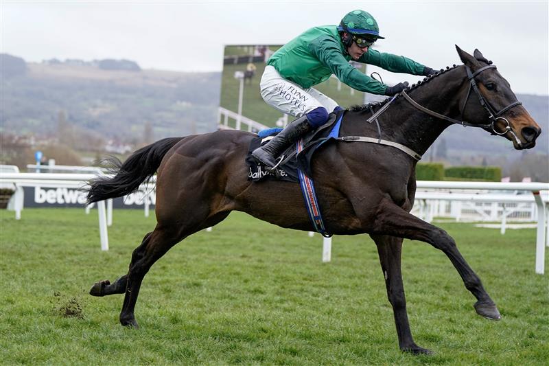 CHELTENHAM, ENGLAND - MARCH 15: Paul Townend riding Impaire Et Passe clear the last to win The Ballymore Novices' Hurdle during day two of the Cheltenham Festival 2023 at Cheltenham Racecourse on March 15, 2023 in Cheltenham, England. (Photo by Alan Crowhurst/Getty Images)
