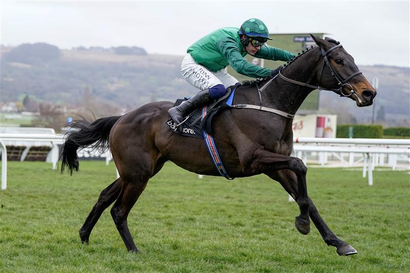 CHELTENHAM, ENGLAND - MARCH 15: Paul Townend riding Impaire Et Passe clear the last to win The Ballymore Novices' Hurdle during day two of the Cheltenham Festival 2023 at Cheltenham Racecourse on March 15, 2023 in Cheltenham, England. (Photo by Alan Crowhurst/Getty Images)