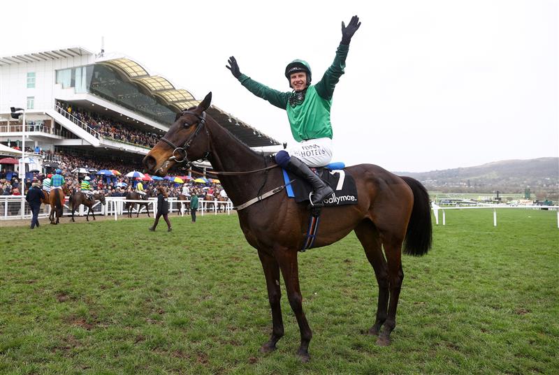 CHELTENHAM, ENGLAND - MARCH 15: Paul Townend riding Impaire Et Passe celebrates winning the Ballymore Novices' Hurdle during day two of the Cheltenham Festival 2023 at Cheltenham Racecourse on March 15, 2023 in Cheltenham, England. (Photo by Michael Steele/Getty Images)