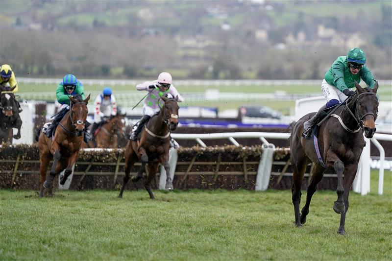 CHELTENHAM, ENGLAND - MARCH 15: Paul Townend riding Impaire Et Passe clear the last to win The Ballymore Novices' Hurdle during day two of the Cheltenham Festival 2023 at Cheltenham Racecourse on March 15, 2023 in Cheltenham, England. (Photo by Alan Crowhurst/Getty Images)