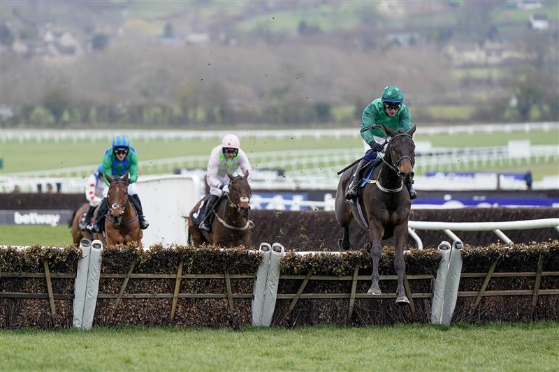 CHELTENHAM, ENGLAND - MARCH 15: Paul Townend riding Impaire Et Passe clear the last to win The Ballymore Novices' Hurdle during day two of the Cheltenham Festival 2023 at Cheltenham Racecourse on March 15, 2023 in Cheltenham, England. (Photo by Alan Crowhurst/Getty Images)