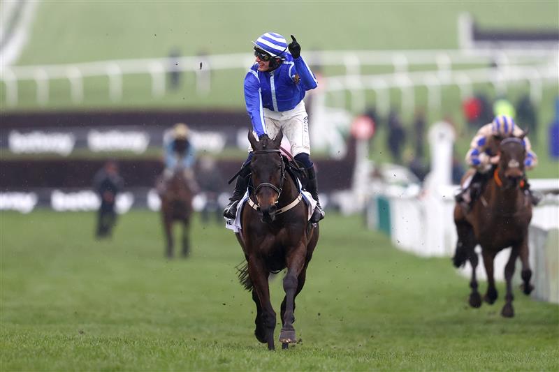 CHELTENHAM, ENGLAND - MARCH 15: Paul Townend riding Energumene celebrates victory in the Champion Chase during day two of the Cheltenham Festival 2023 at Cheltenham Racecourse on March 15, 2023 in Cheltenham, England. (Photo by Michael Steele/Getty Images)