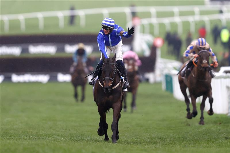 CHELTENHAM, ENGLAND - MARCH 15: Paul Townend riding Energumene celebrates victory in the Champion Chase during day two of the Cheltenham Festival 2023 at Cheltenham Racecourse on March 15, 2023 in Cheltenham, England. (Photo by Michael Steele/Getty Images)